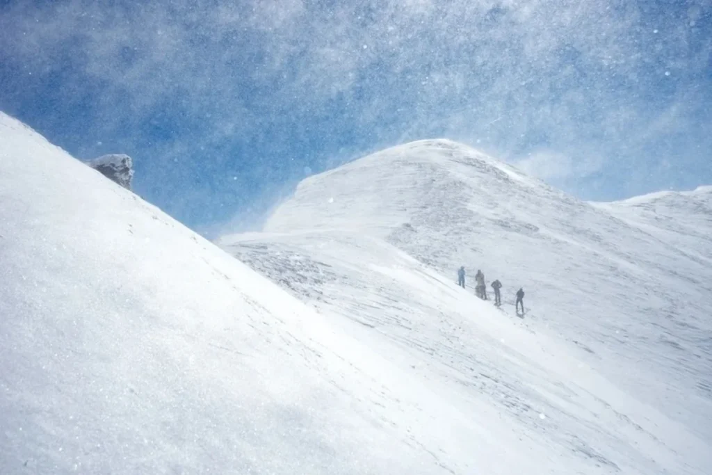 0iC3dGt5o14PFHiCpOiR4LB7Rfli98dH4qQkVFfO_1200