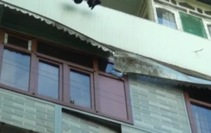 6hFkTqy2QKPcWKTjUKFlMfVUX6OszyQWOxOfRJpz_1200