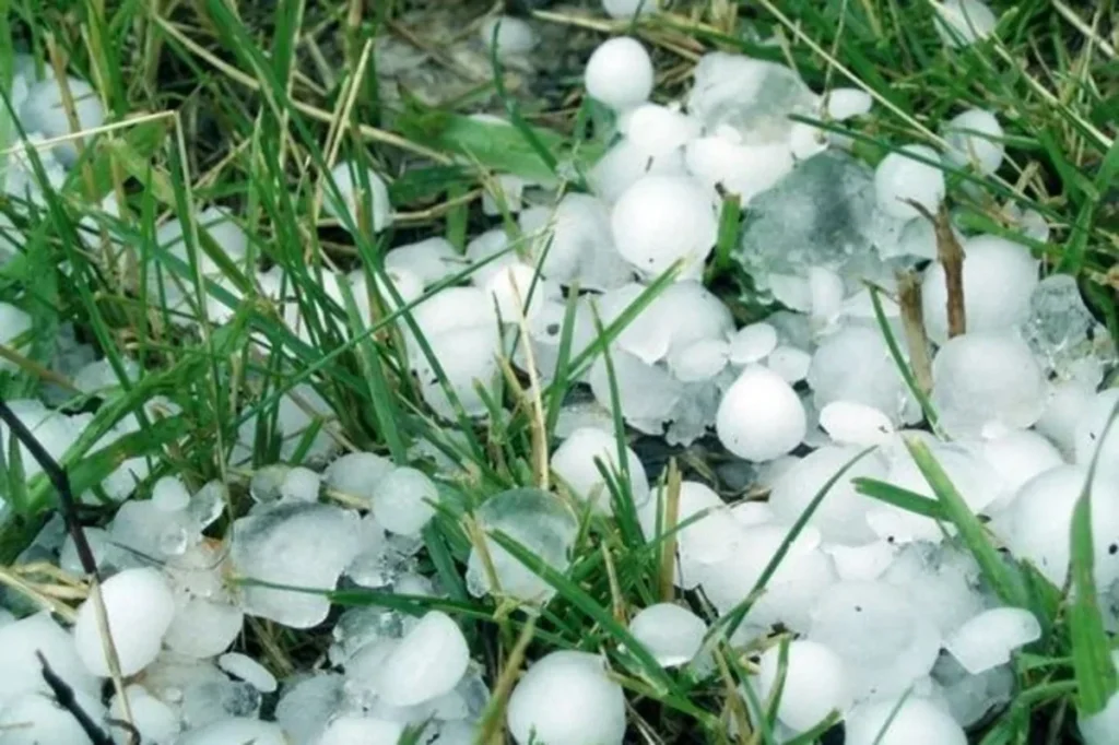 BOLAM8q4dfr6j99n1VChTE32tW6o64OqvVg0Sq8p_1200