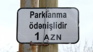 DqUUHKg7d15Hw6TDmYeirLeWvRfEVp1cNxZfrHBm_1200