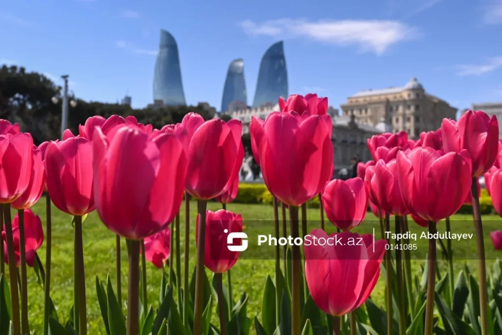 OiraZwJcNMXsIahuTPpLWEbnWlwLUDif2ARPHwNu_1200