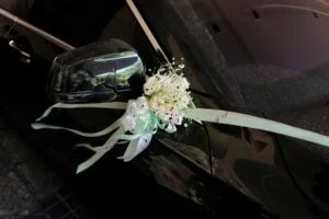 POewIskz5KjfKk2RsBRz6BF5GbmMk1rGrgcgdQny_1200