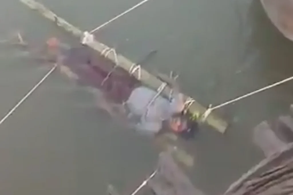 Pxaq4Lsu10B5VgIAGC2Ia4HyAXw6Es8lsQOSoqi6_1200