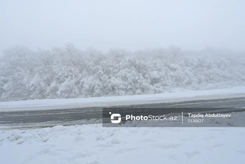 QuB3GNNELqDPwaJ8mFA1mOdSlkJmovBeOQtlLgDP_1200