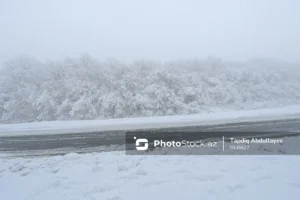 QuB3GNNELqDPwaJ8mFA1mOdSlkJmovBeOQtlLgDP_1200