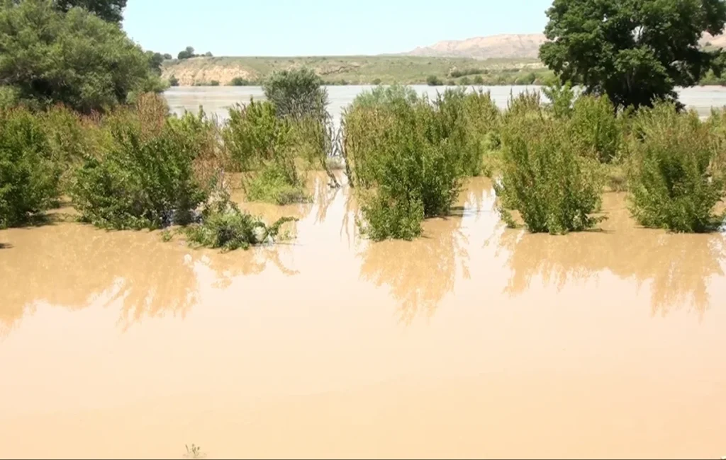 SkEc3cZdpRroxgkw9jwhrCCC0EvDvk29TY9e8YIk_1200