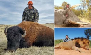 ZcTbK0IrYJf0vgV0XnYRzcDE9zNptq37wuavca1I_1200