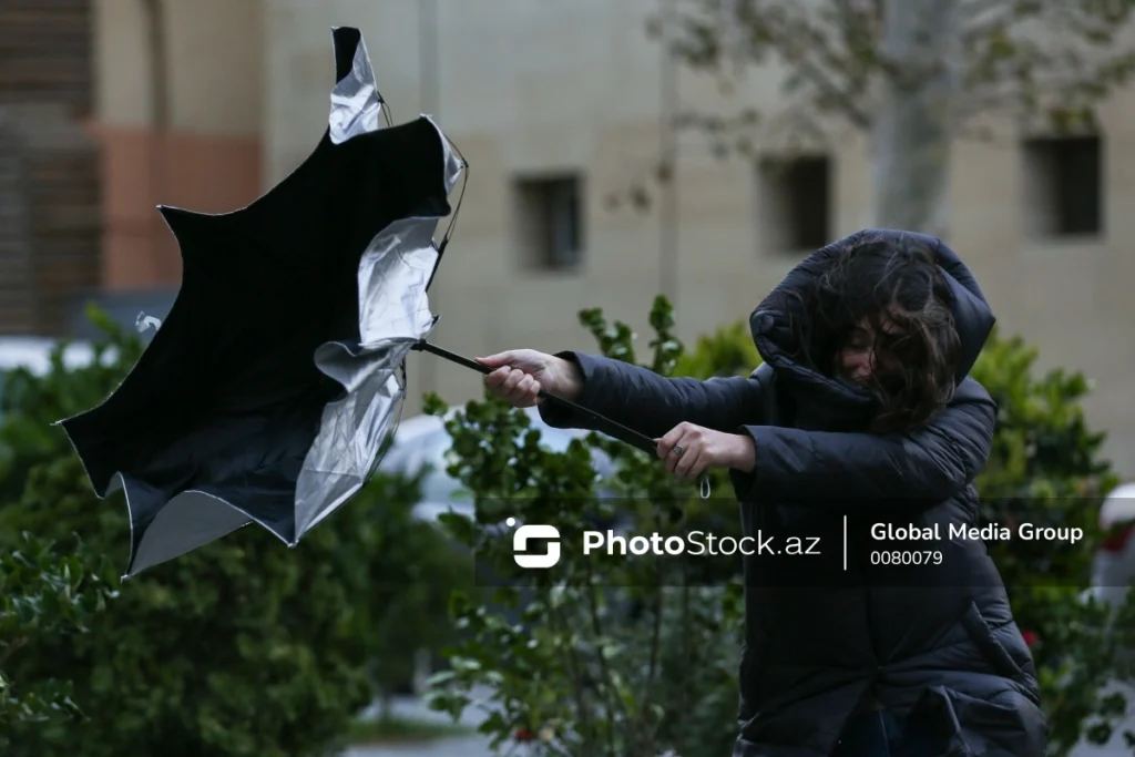 i1AnUWdzTaas3zBfxKqsXUdZNkLeCMaHPMTYDV2y_1200