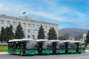 ix8yqpggSz26PTpxXhVvnSDSql5p9jhLMk9p3qKX_1200