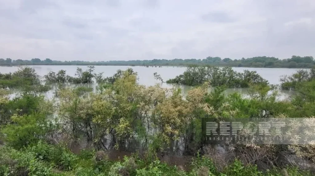 mmKLCW6TtXru17ZCHQZKsjbFbTskZRh9AvhGJrg3_1200