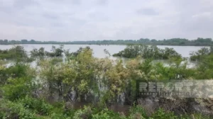 mmKLCW6TtXru17ZCHQZKsjbFbTskZRh9AvhGJrg3_1200