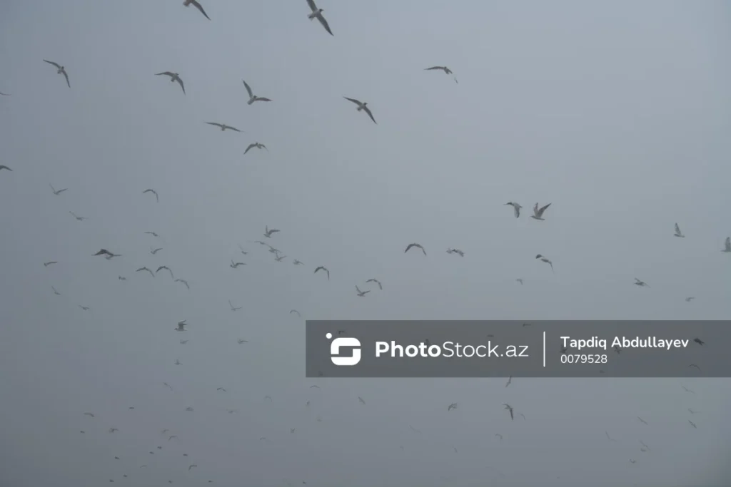 my4oiAQjx05TY2MtmzSTGJrYG2xWaXpqzi6sKQxQ_1200