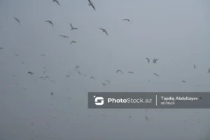 my4oiAQjx05TY2MtmzSTGJrYG2xWaXpqzi6sKQxQ_1200