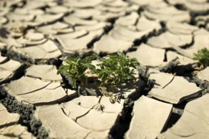 s031X7T1wfoB0W2jhMWEhJKOaifZsOaI0BZLzmWO_1200