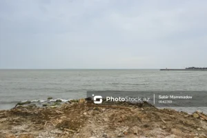 tvOd7Uyt4cjuKLItmacW4rs3QrOyVjMKEjA8tVnD_1200