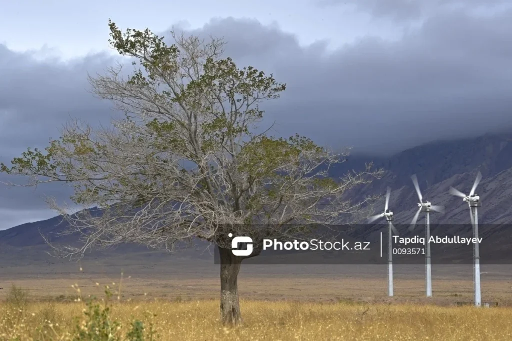 w7nTIM4GjE9qfpTZw8u7AfgXIRcWHgiwC8nANiN6_1200