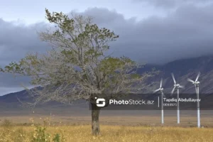 w7nTIM4GjE9qfpTZw8u7AfgXIRcWHgiwC8nANiN6_1200